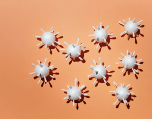 Ex vivo disease model tissue mounted for Ussing chamber analysis